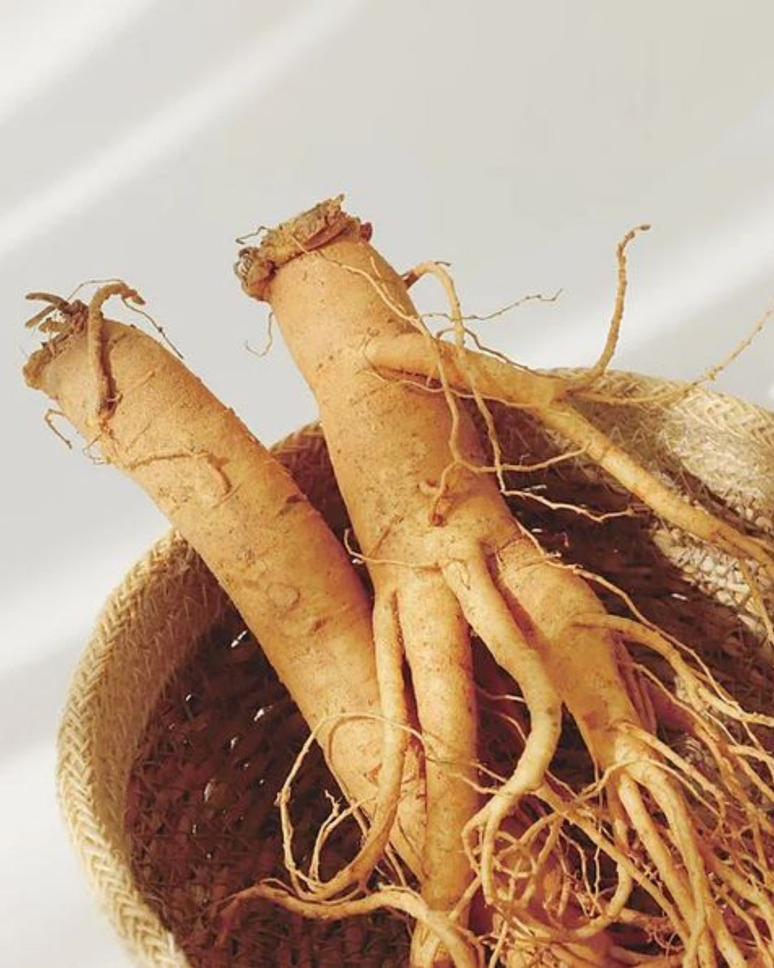 Ginseng Essence Water - Hautpflegeshop24