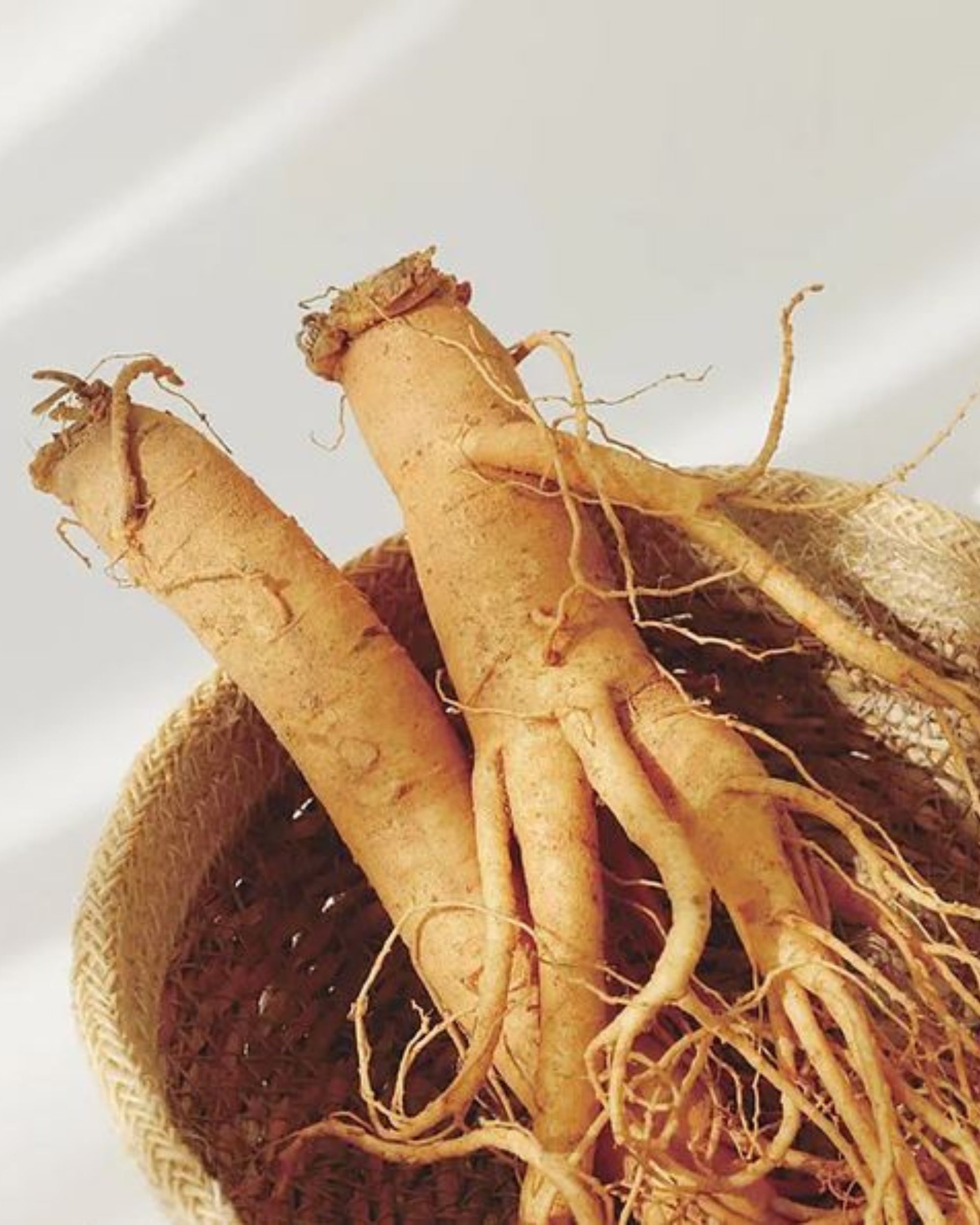 Ginseng Essence Water - Hautpflegeshop24